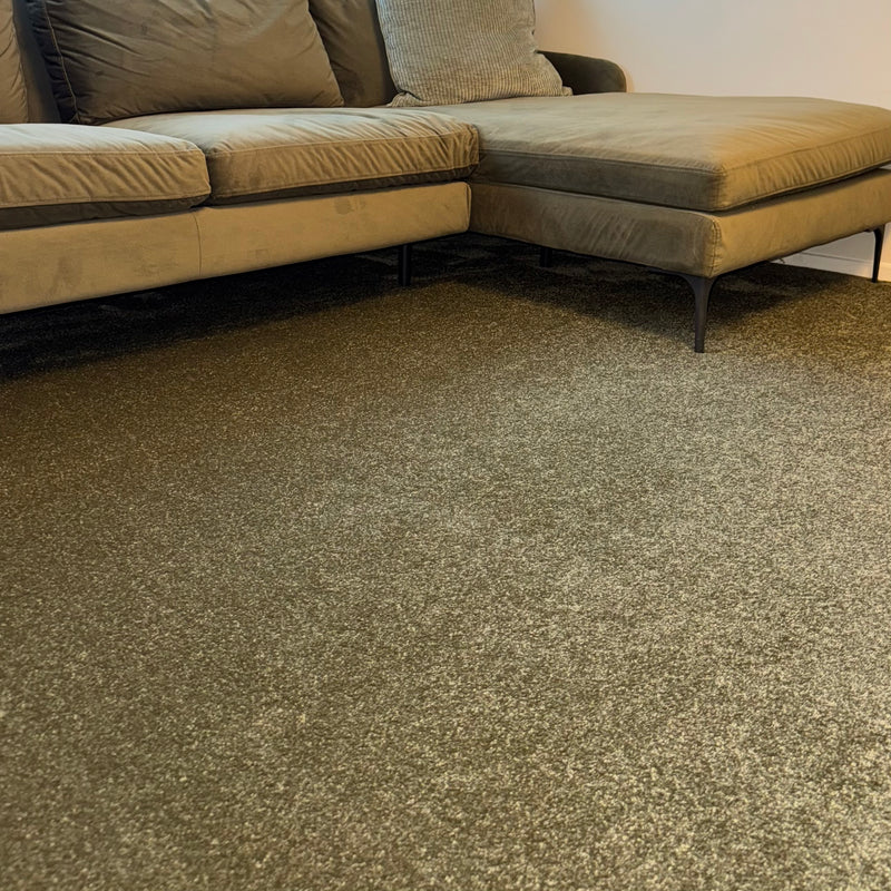 Charm Carpet