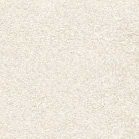 Magnificus Invictus Carpet