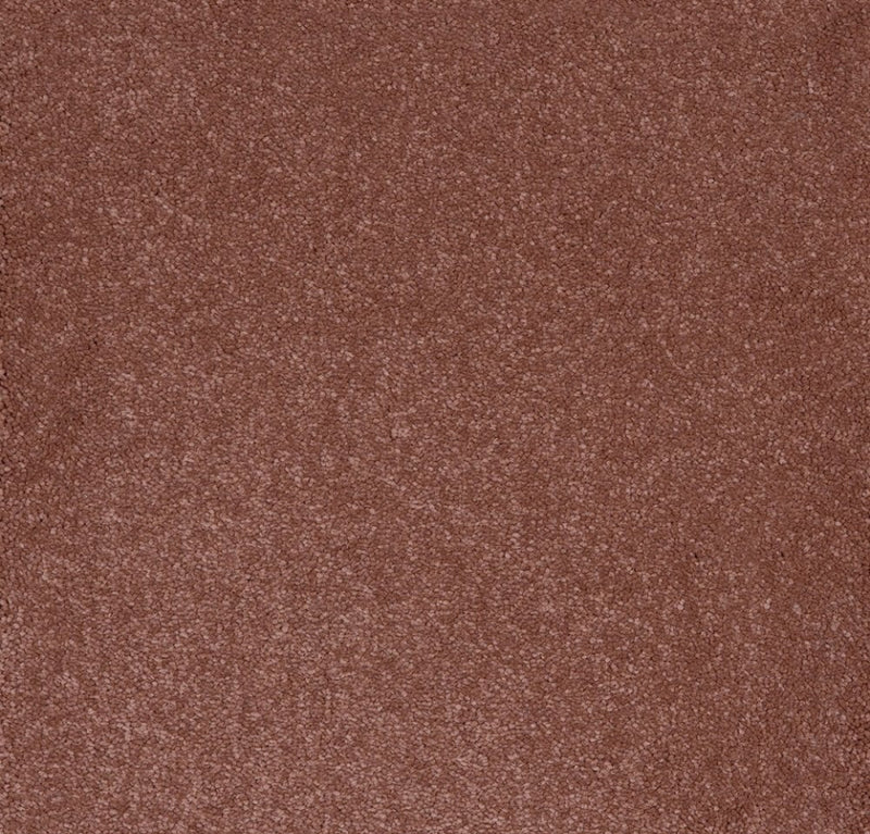 Aries Invictus Carpet