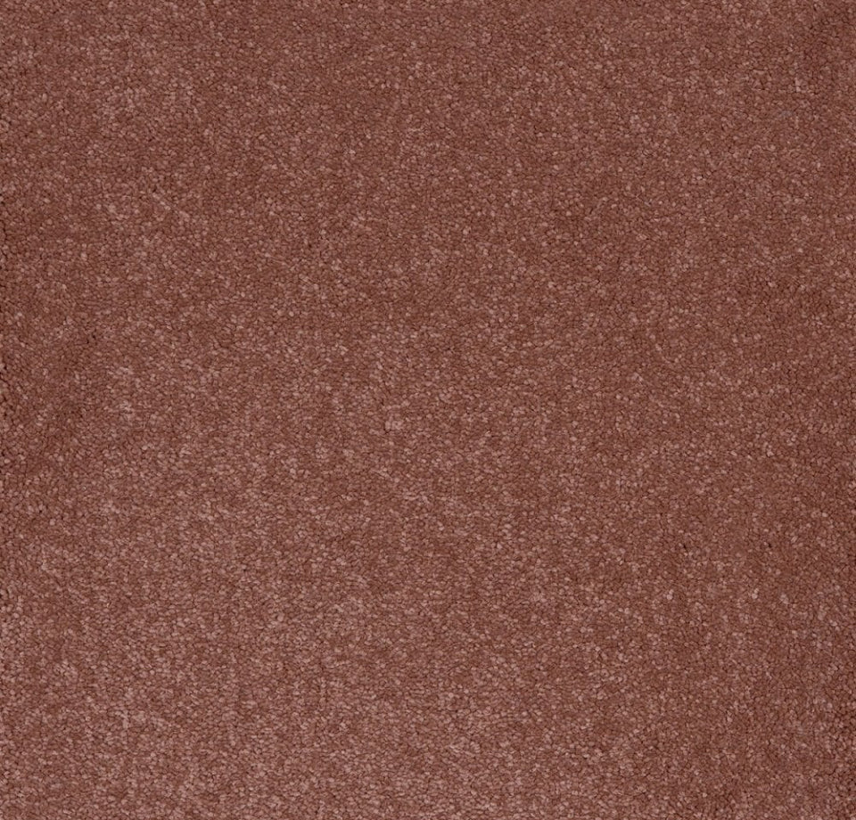 Aries Invictus Carpet