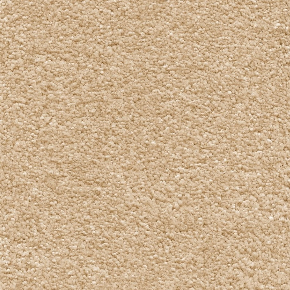 Orion 50z Invictus Carpet