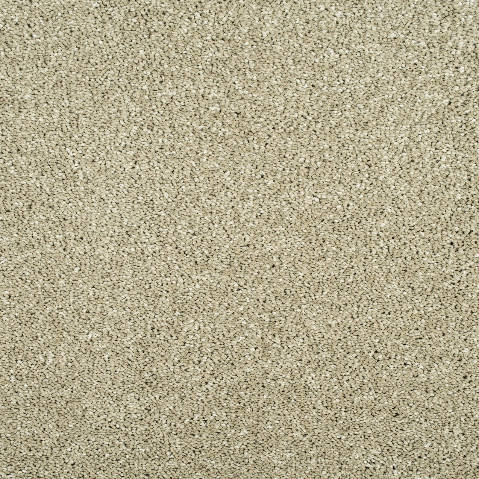 Sirius Invictus Carpet