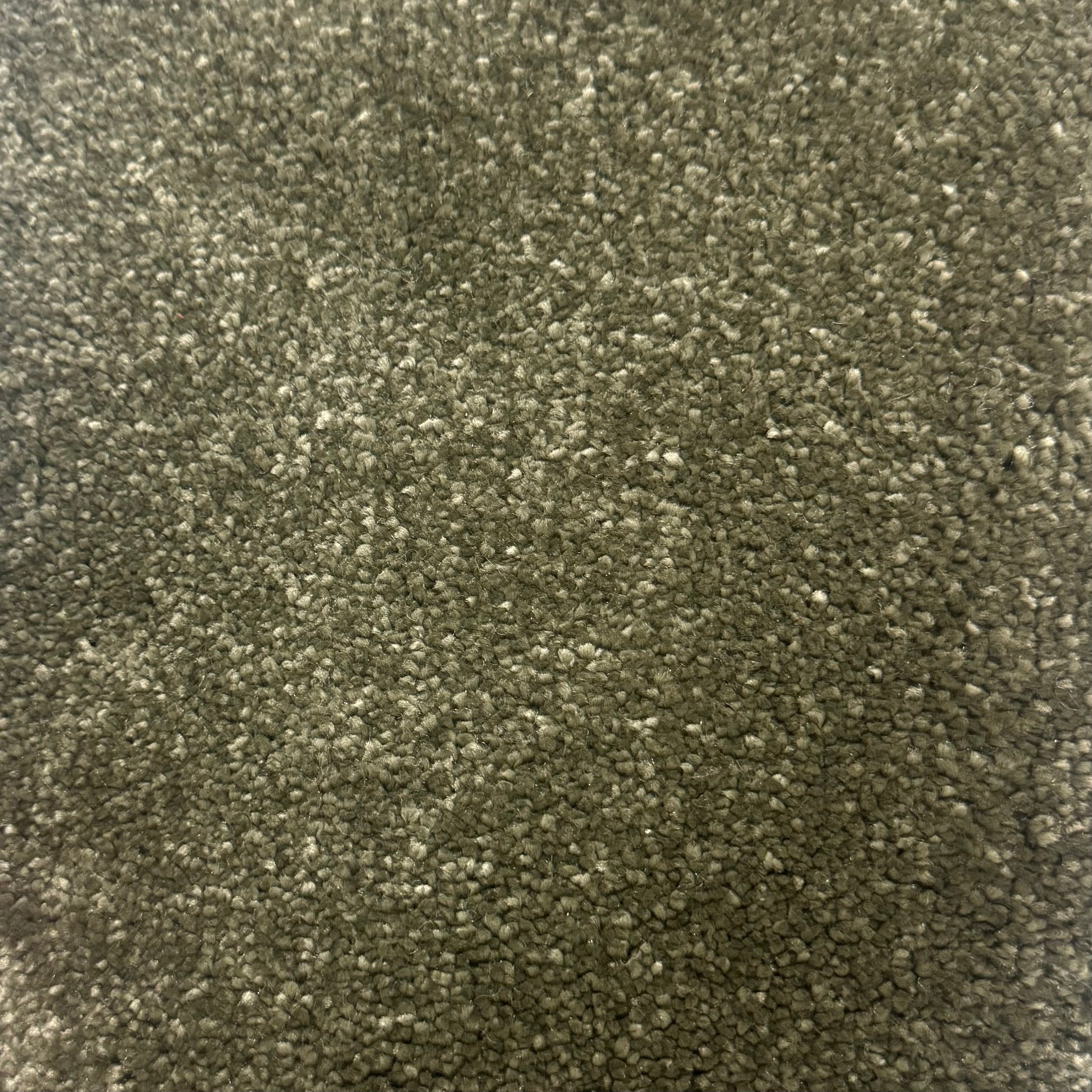 Charm Carpet